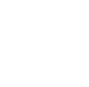 Ambassador Development and Management